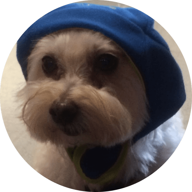 Elizabeth Henne's profile photo