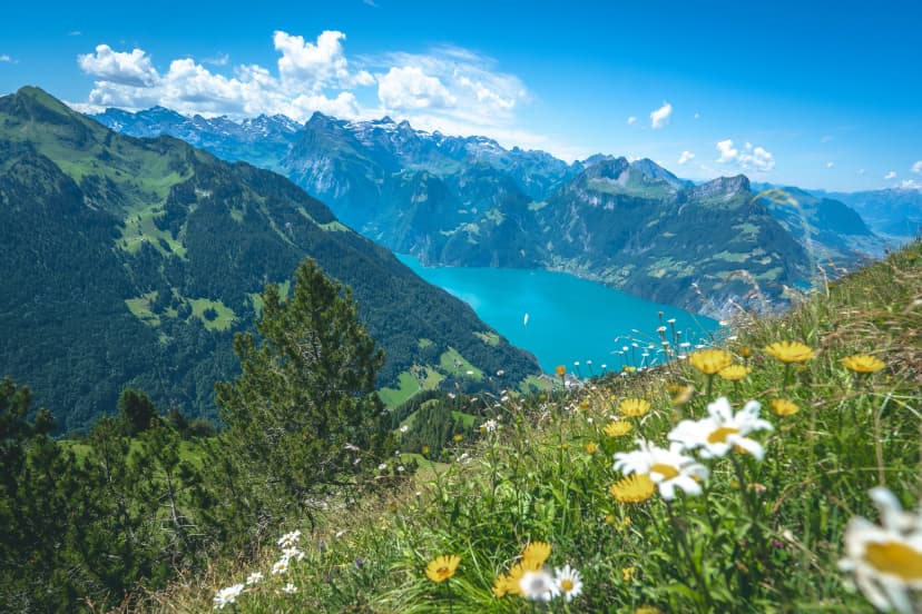 Fronalpstock in Switzerland