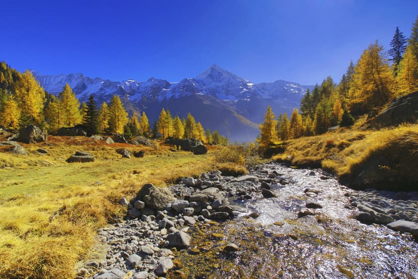 Lötschental, Wallis, Schweiz, Europa