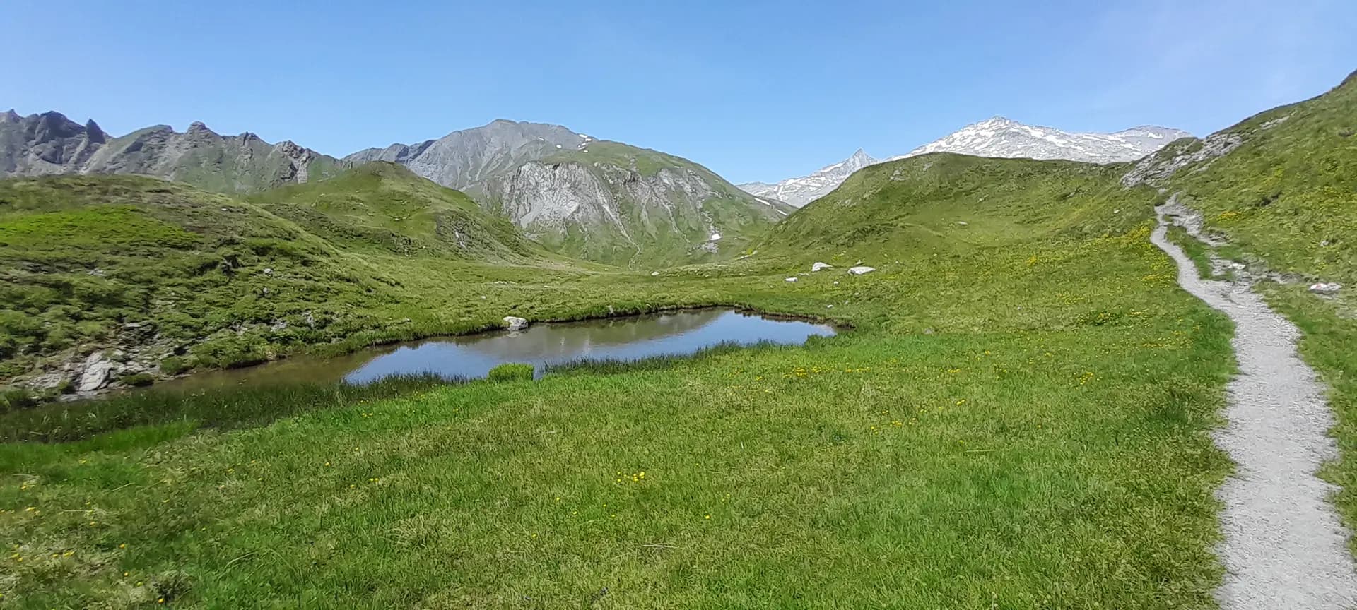 Small mountain pond in a grassy alpine meadow with a hiking trail and snow-capped peaks.