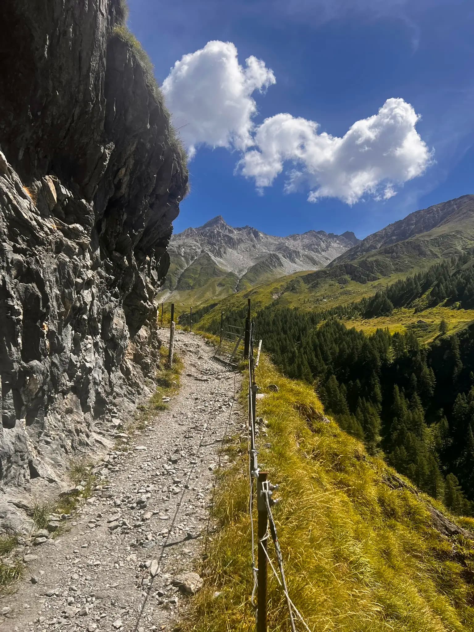 Hiking trail along a rocky cliffside with alpine mountain peaks and pine forest.