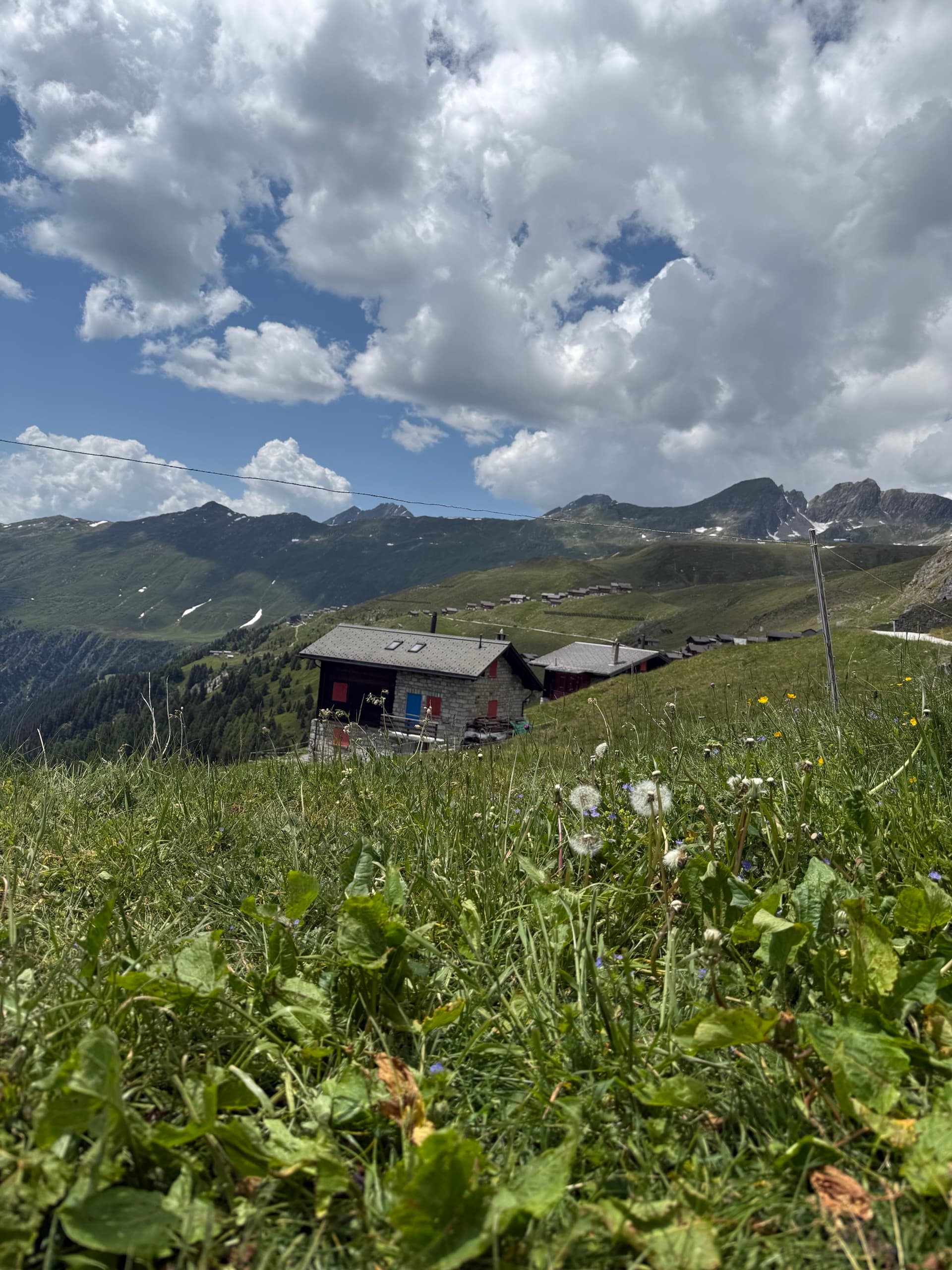 Alpine chalets in mountain meadow with wildflowers under cloudy sky
