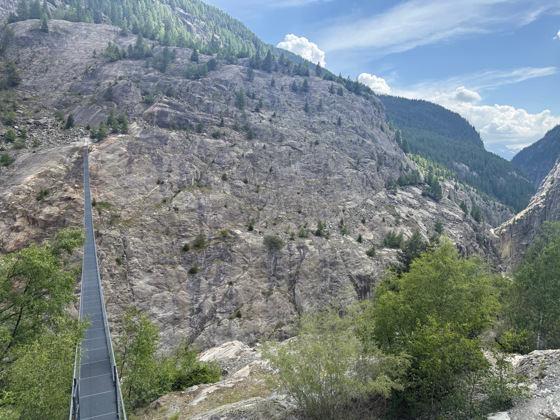 Suspension bridge spanning a rocky mountain gorge with pine trees