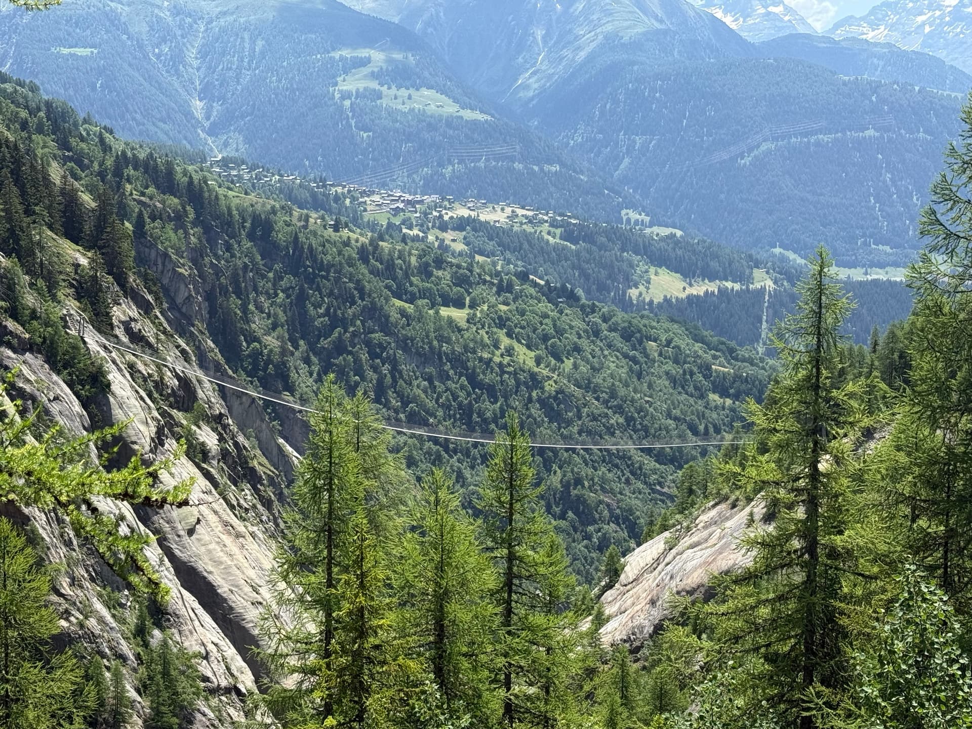 Larch forest and suspension bridge above deep mountain valley