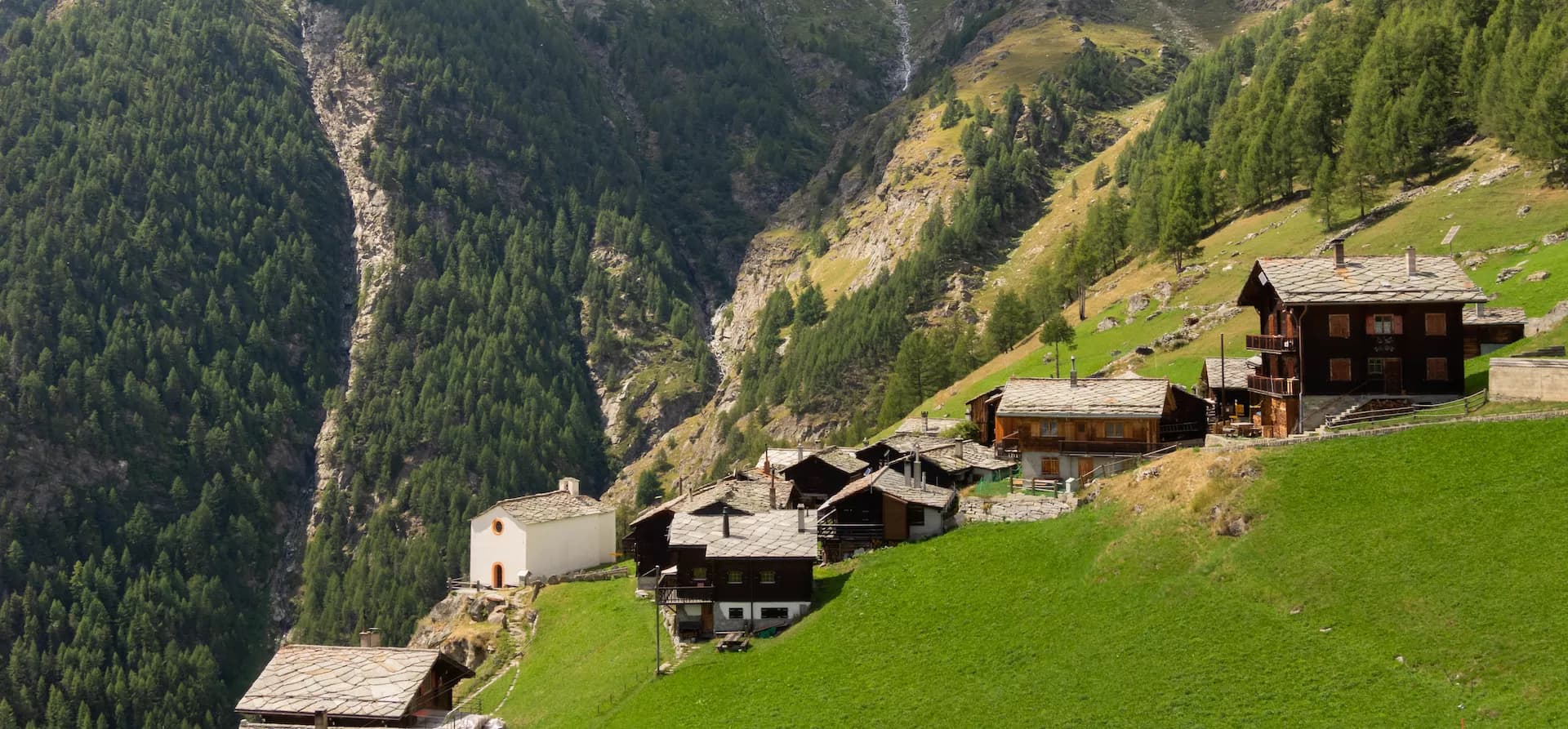 Alpine village houses nestled on a steep green hillside below a dense pine forest.