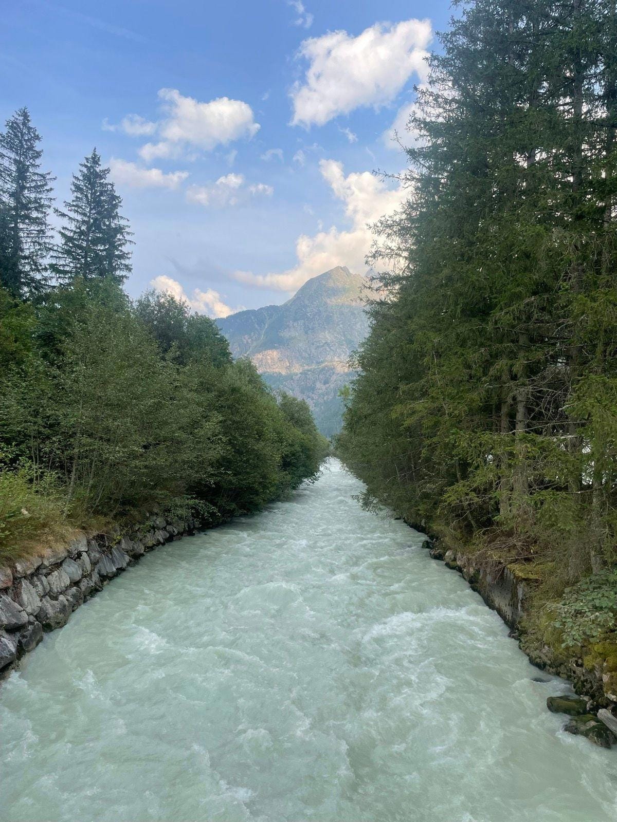 Rushing alpine river flowing between pine forests toward mountain peak
