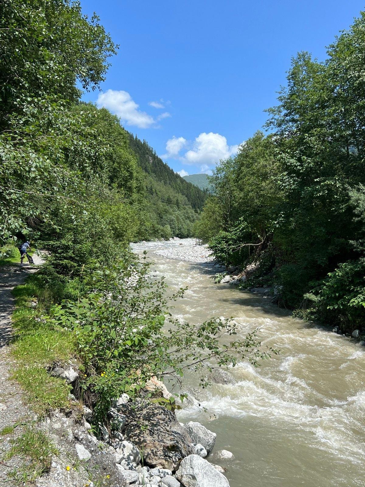 Mountain river flowing through a lush green valley with trees and rocky banks under a blue sky