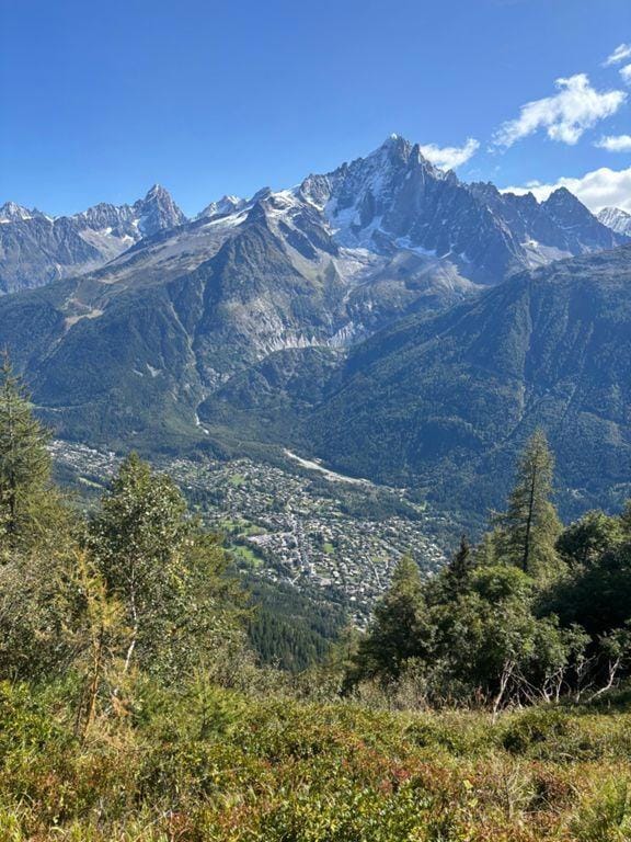 Lac Blanc mountain peaks and alpine valley with forest and town view