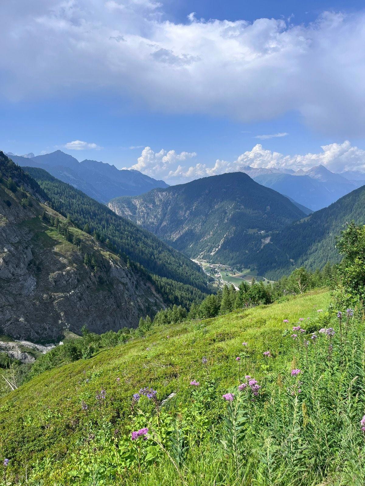 Alpine valley view with green mountainside, pine forests, and wildflowers under a blue sky