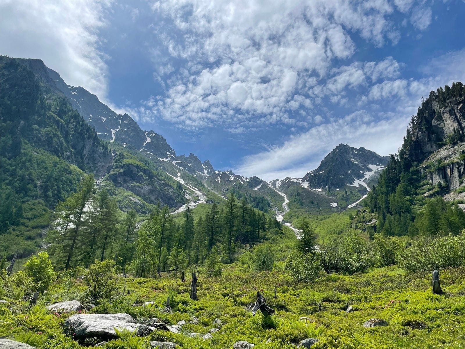 Alpine mountain peaks with snow patches, green forest, and blue sky with clouds