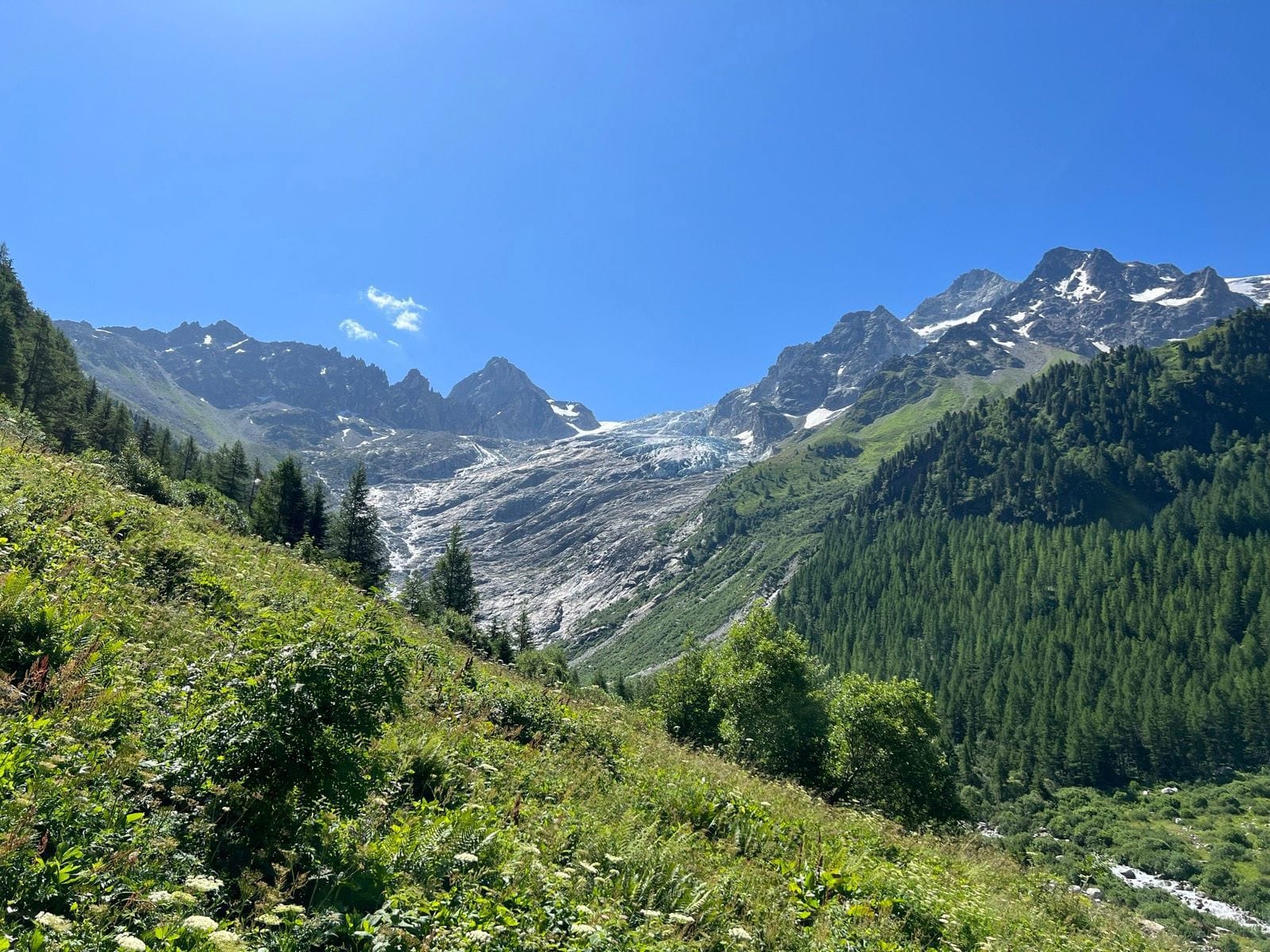 Fen Télaz and D'Arpette alpine mountain landscape with glacier and pine forest under clear blue sky