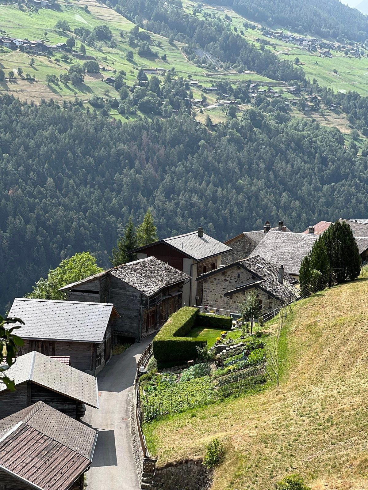 Alpine village houses and road on a green mountain slope with forest
