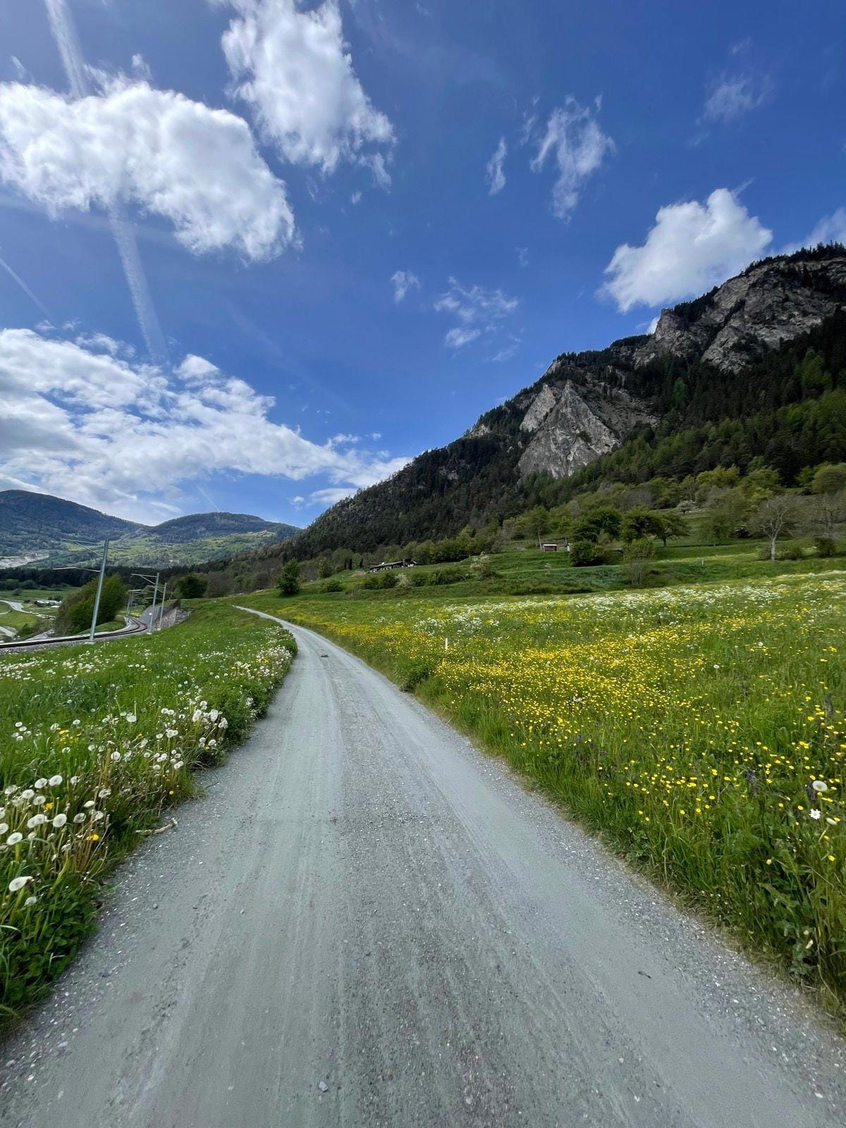 Gravel path winding through green meadow with wildflowers and mountain backdrop under blue sky