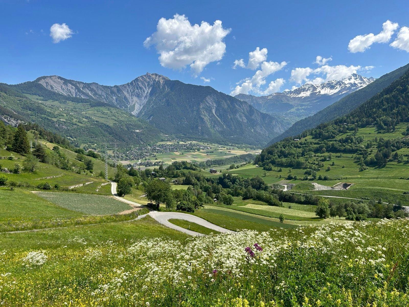 Alpine mountain valley with green fields, wildflowers, and winding road under a blue sky