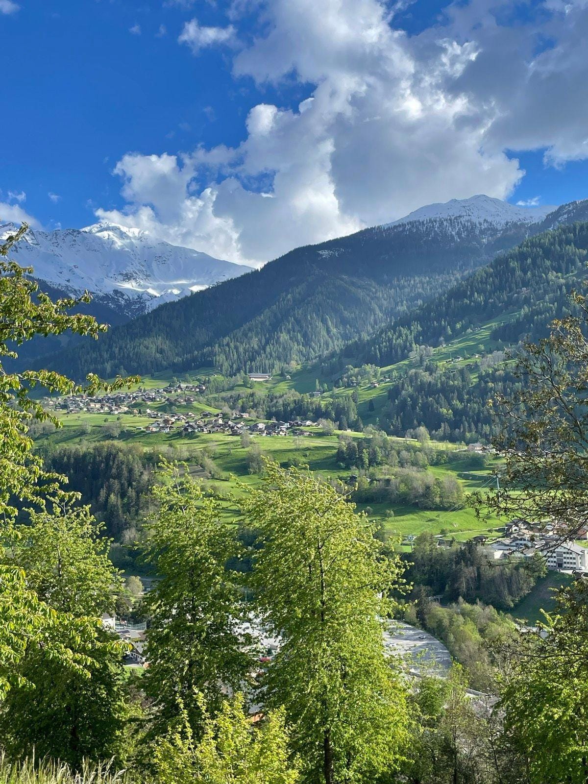 Alpine valley with green meadows, pine forests, and snow-capped mountain peaks under a cloudy blue sky