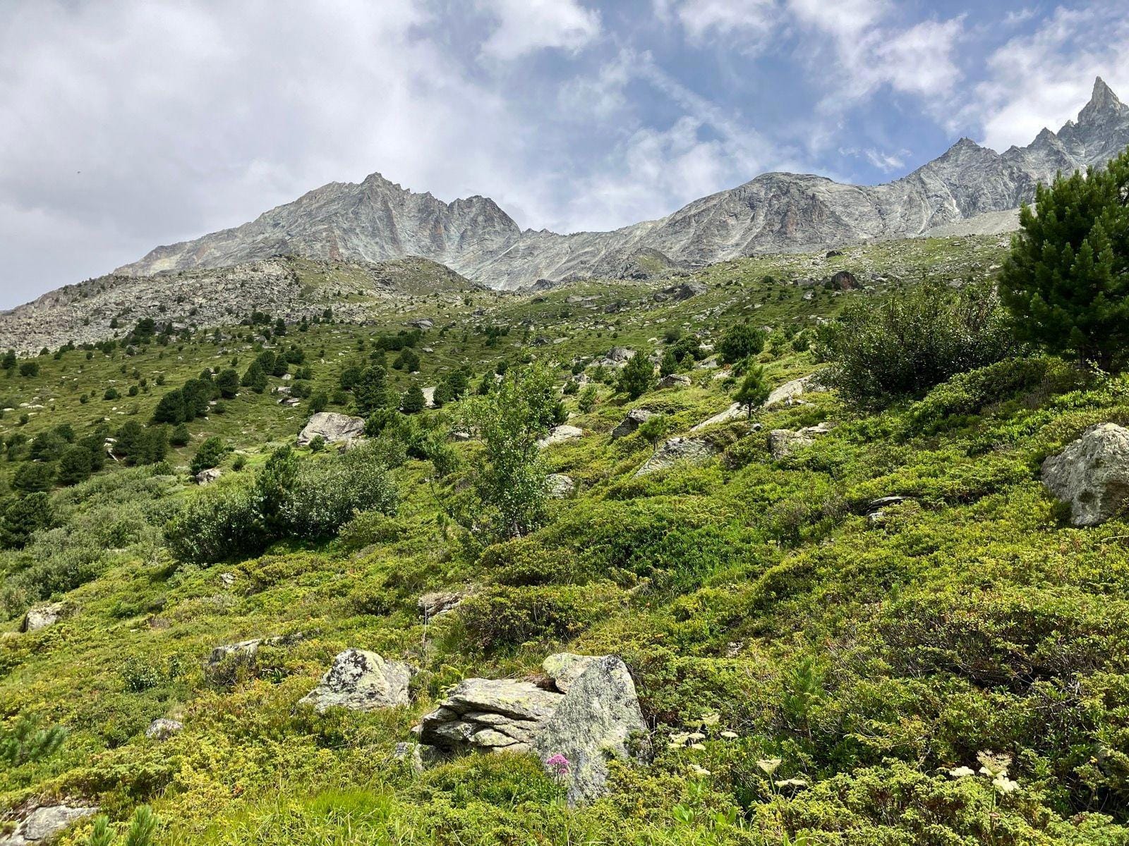 Arolla alpine mountain landscape with rocky peaks and green vegetation