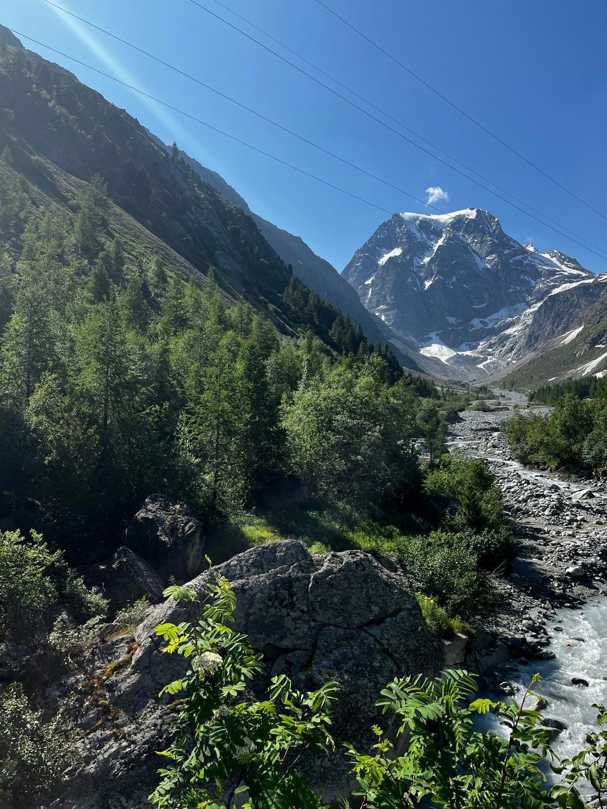 Alpine valley with snow-capped mountain peak, rocky river, and pine forest in Arolla