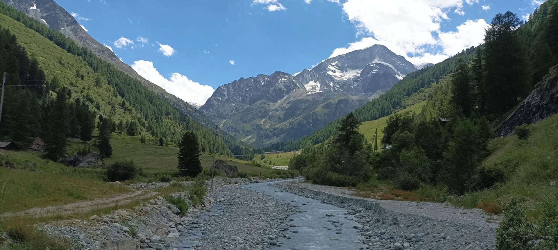 Mountain river flowing through alpine valley with pine forests and rocky peaks