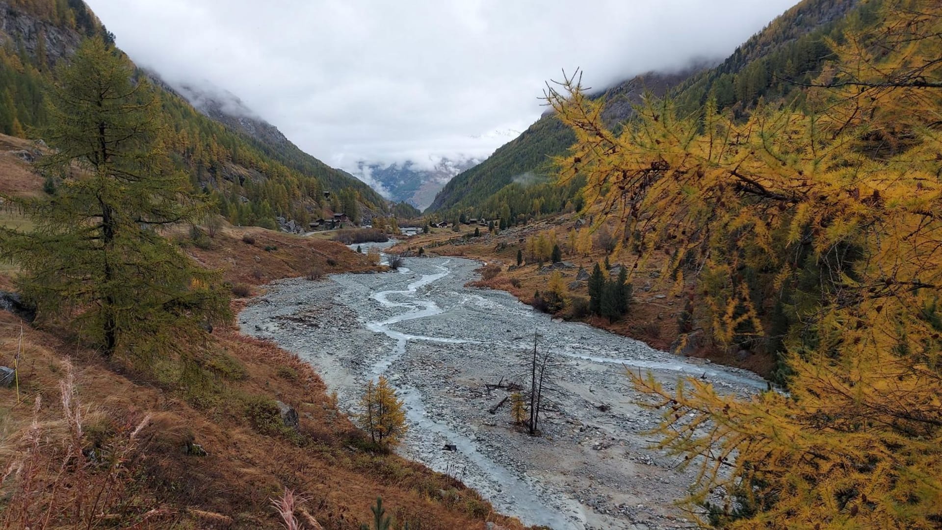 Alpine river winding through a valley with autumn foliage and mountain peaks