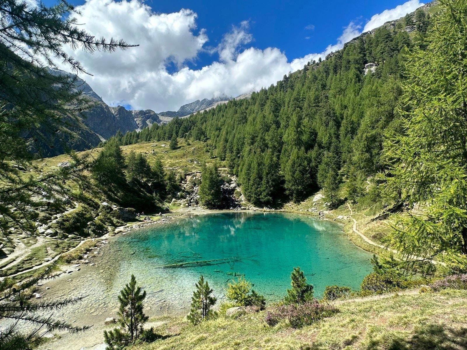 Alpine mountain lake with turquoise water surrounded by pine forest and rocky peaks