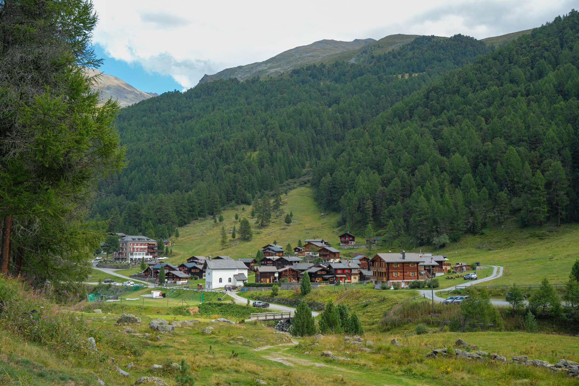 Alpine village with wooden chalets nestled in a green valley below forested mountain slopes