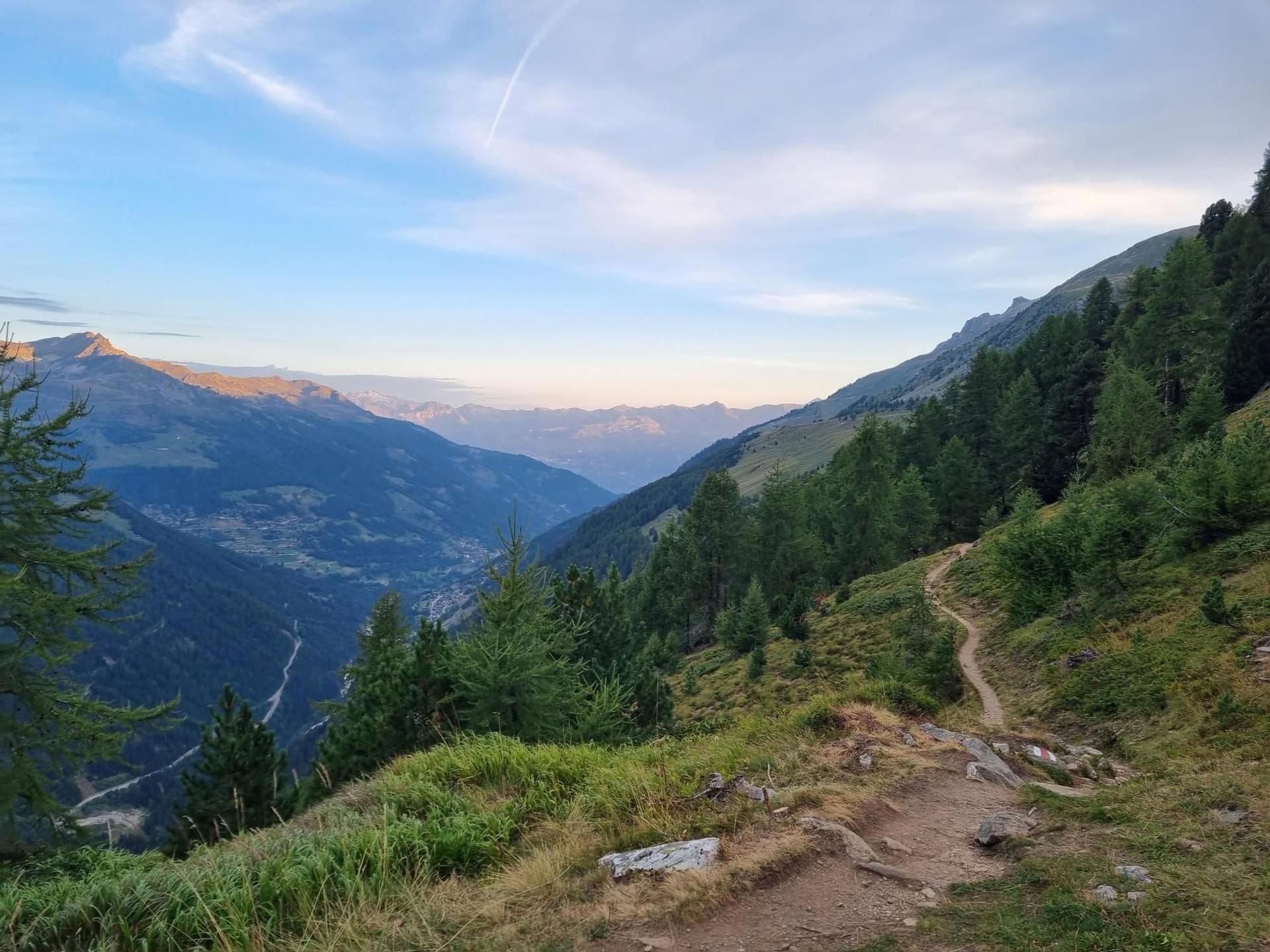 Hiking trail winding through alpine mountain valley with pine trees and distant peaks