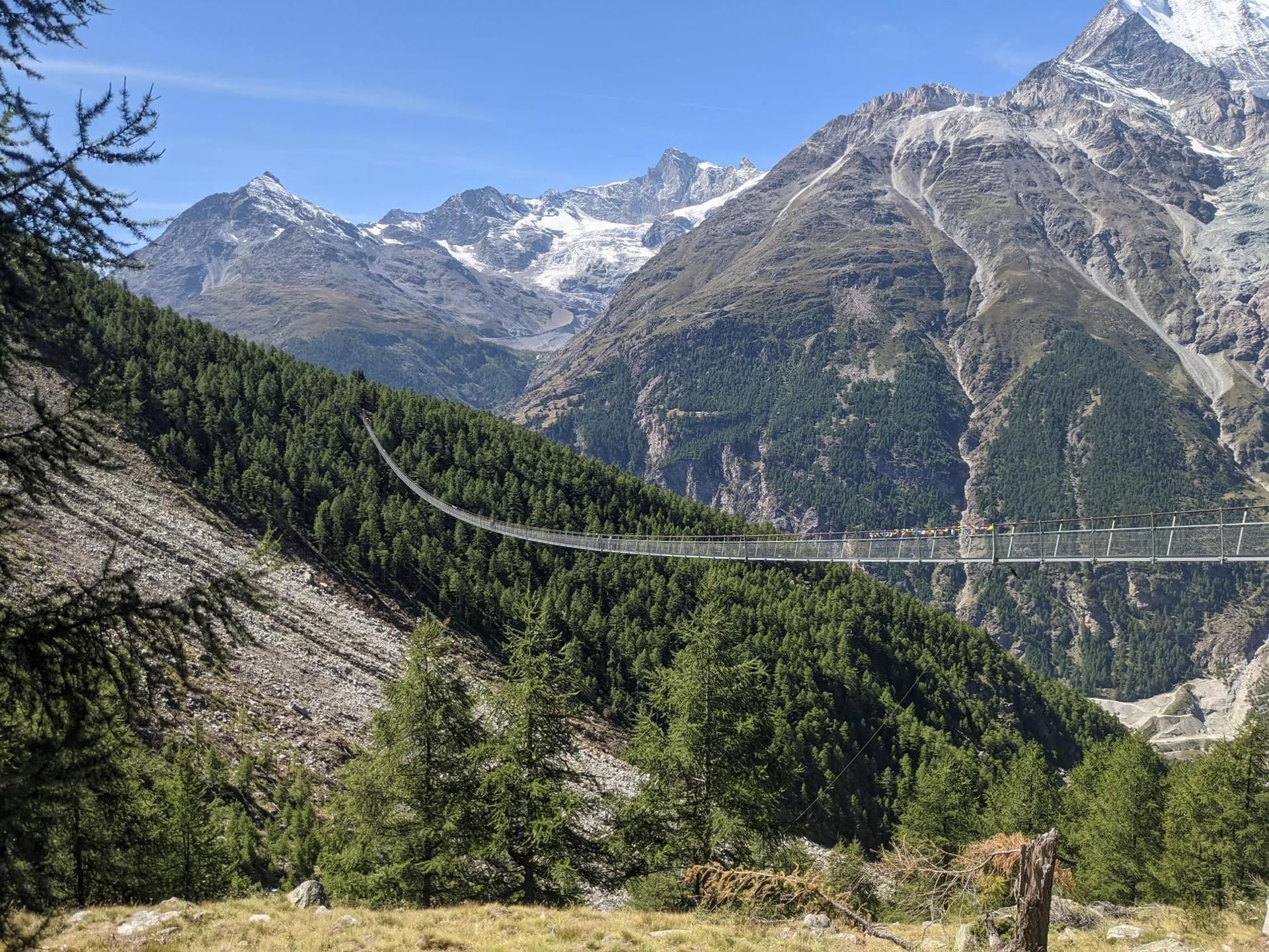 Suspension bridge spanning a forested alpine valley with snow-capped mountain peaks