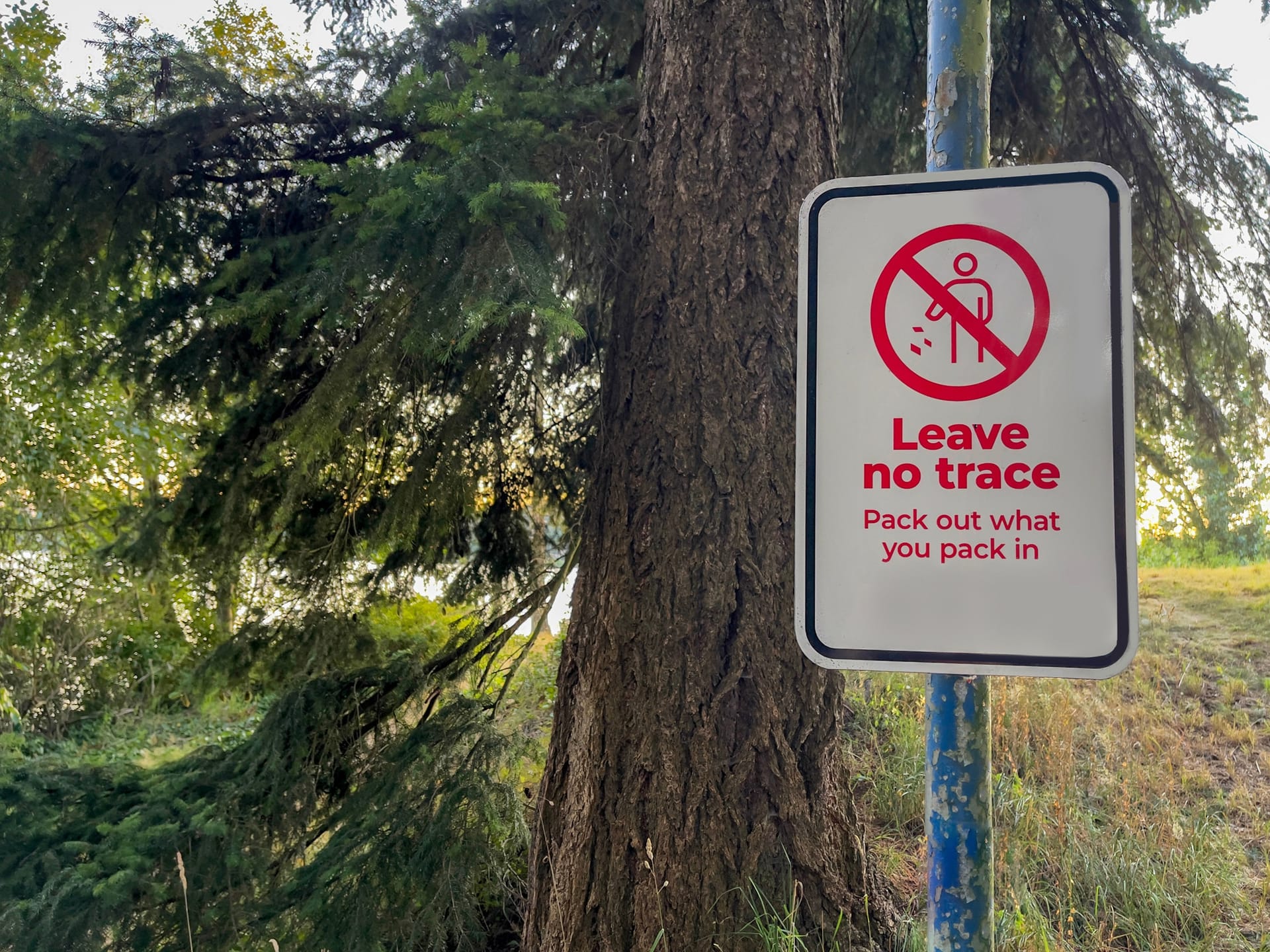 Leave no trace sign mounted on a post in a forest setting with pine trees