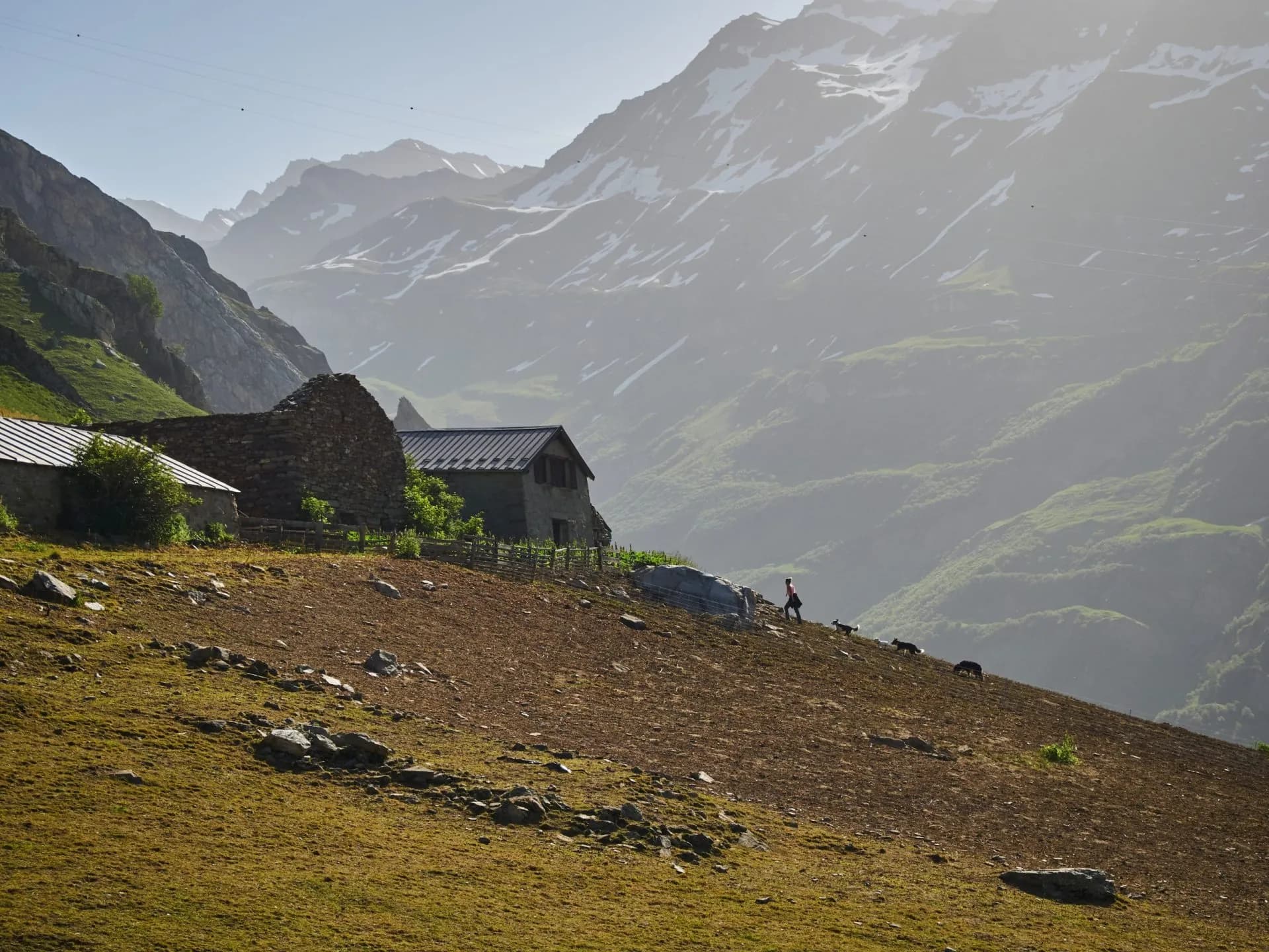 Hiker with dogs ascending steep slope near stone huts below snowy mountains near Col de la Croix du Bonhomme.