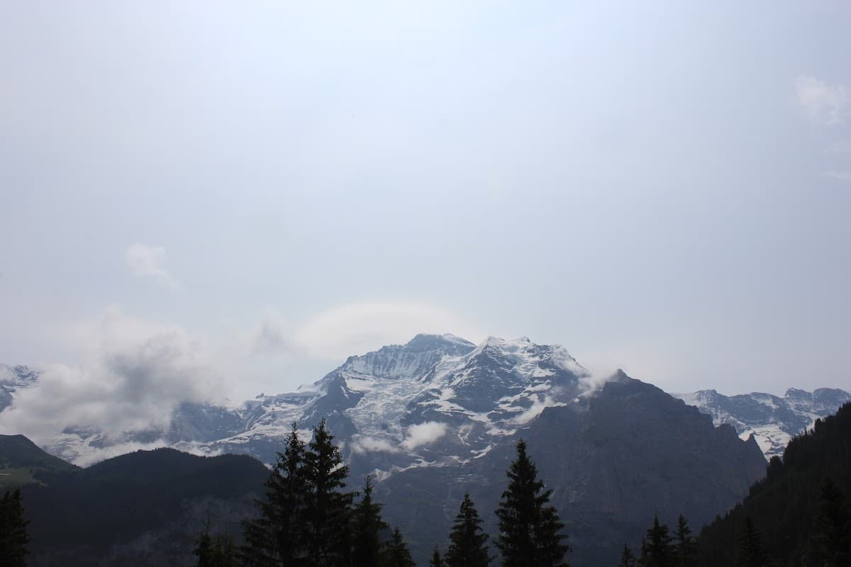 Snow-capped mountains partially obscured by clouds with dark evergreen trees in the foreground.