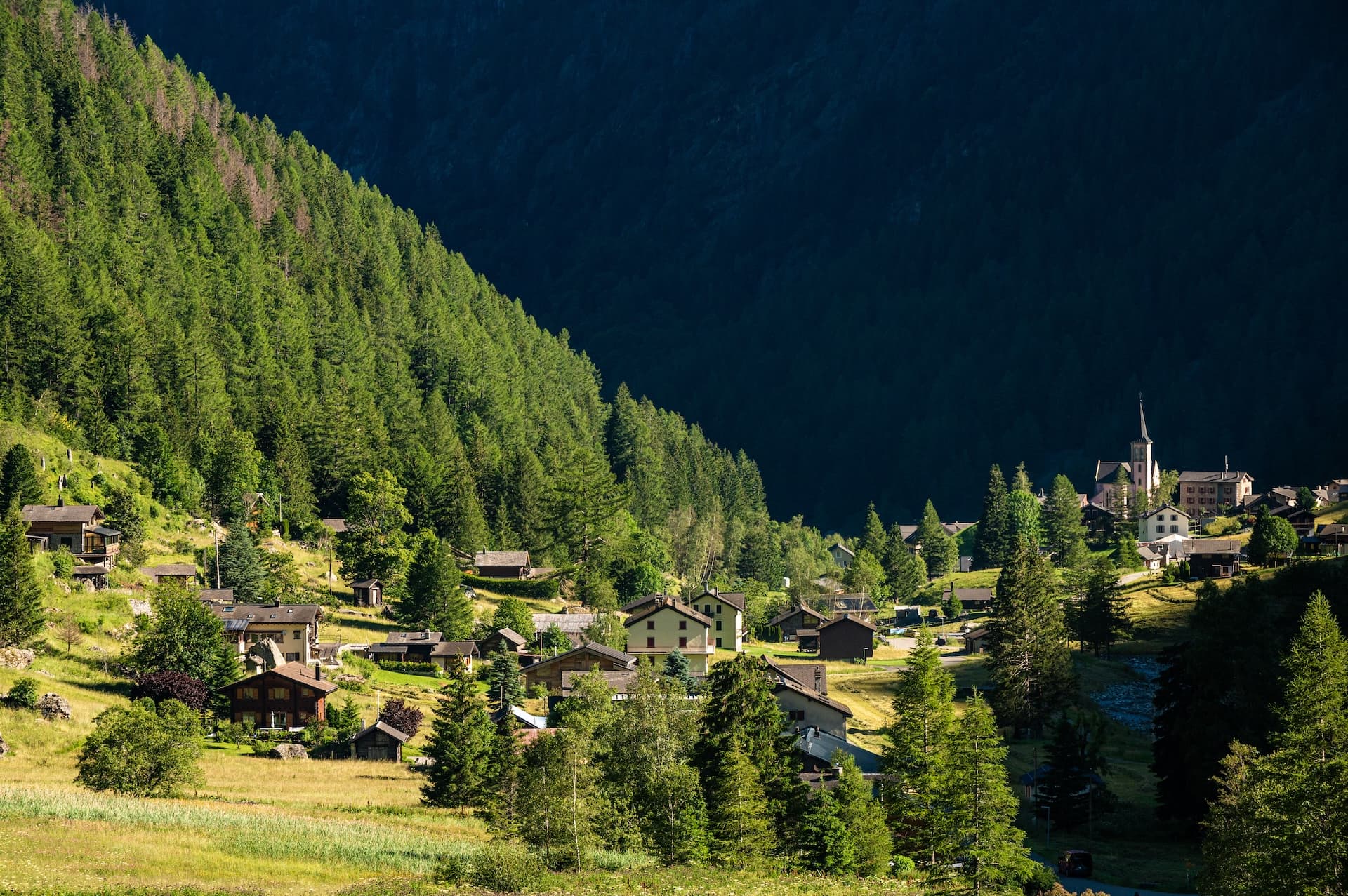 Alpine village of Trient nestled in a valley with dense green forest and steep dark mountainside.