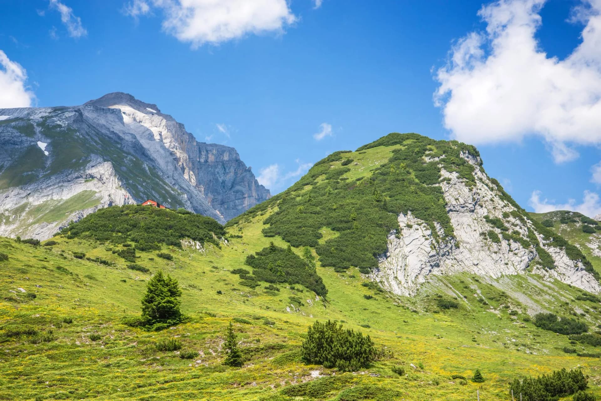 Alpine hut on green hillside below rocky mountain peaks under blue sky with clouds, Ringelspitzhütte