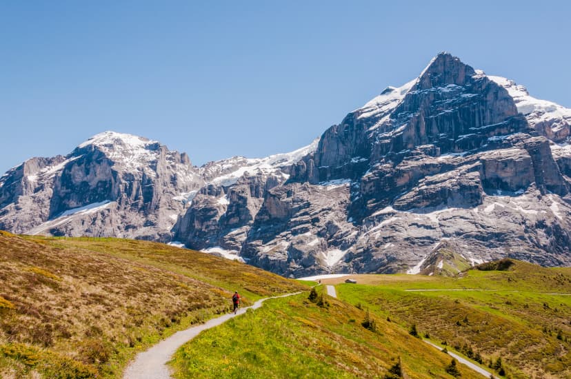 Grindelwald, Berner Oberland, Wetterhorn, Engelhörner, Grosse Scheidegg, Wanderweg, First, Alpen, Schweizer Berge, Sommer, Schweiz