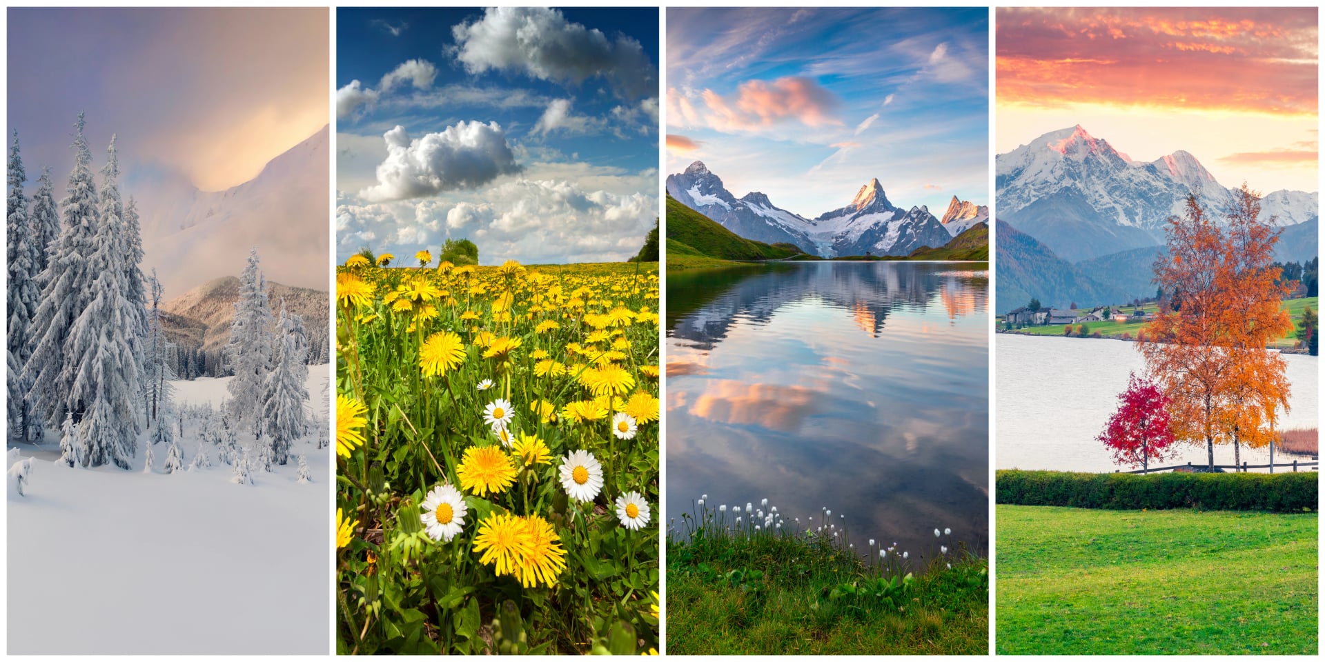 Collage of four seasons landscapes. Set of vertical pictures of nature background arranged in panoramic view. Wonderful outdoor scene of majestic mountains, green meadows and blooming flowers.
