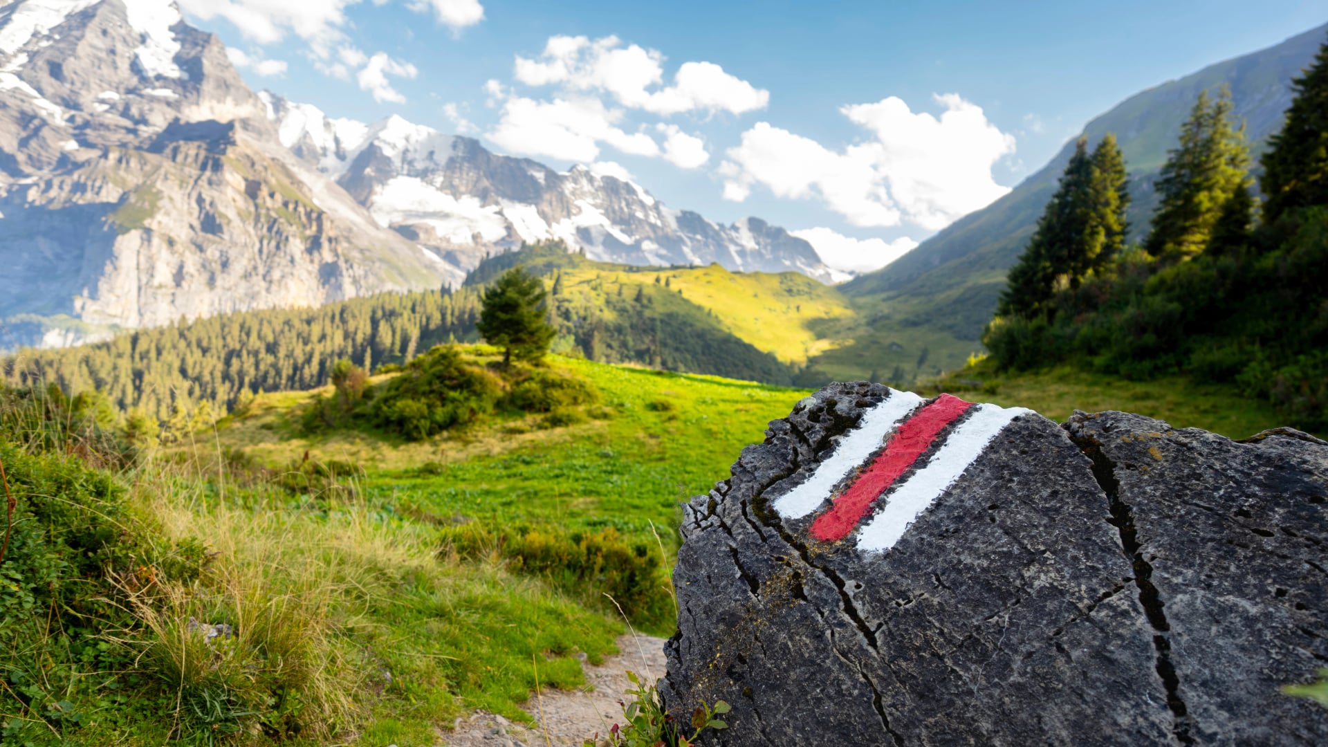 White and red trail waymark in a hiking path in the Swiss Alps with blurred background - trail signs in the Swiss Alps