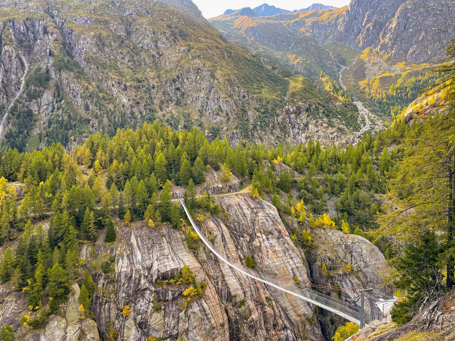 Ponte sospeso di Aspi Titter nelle Alpi svizzere all'inizio dell'autunno