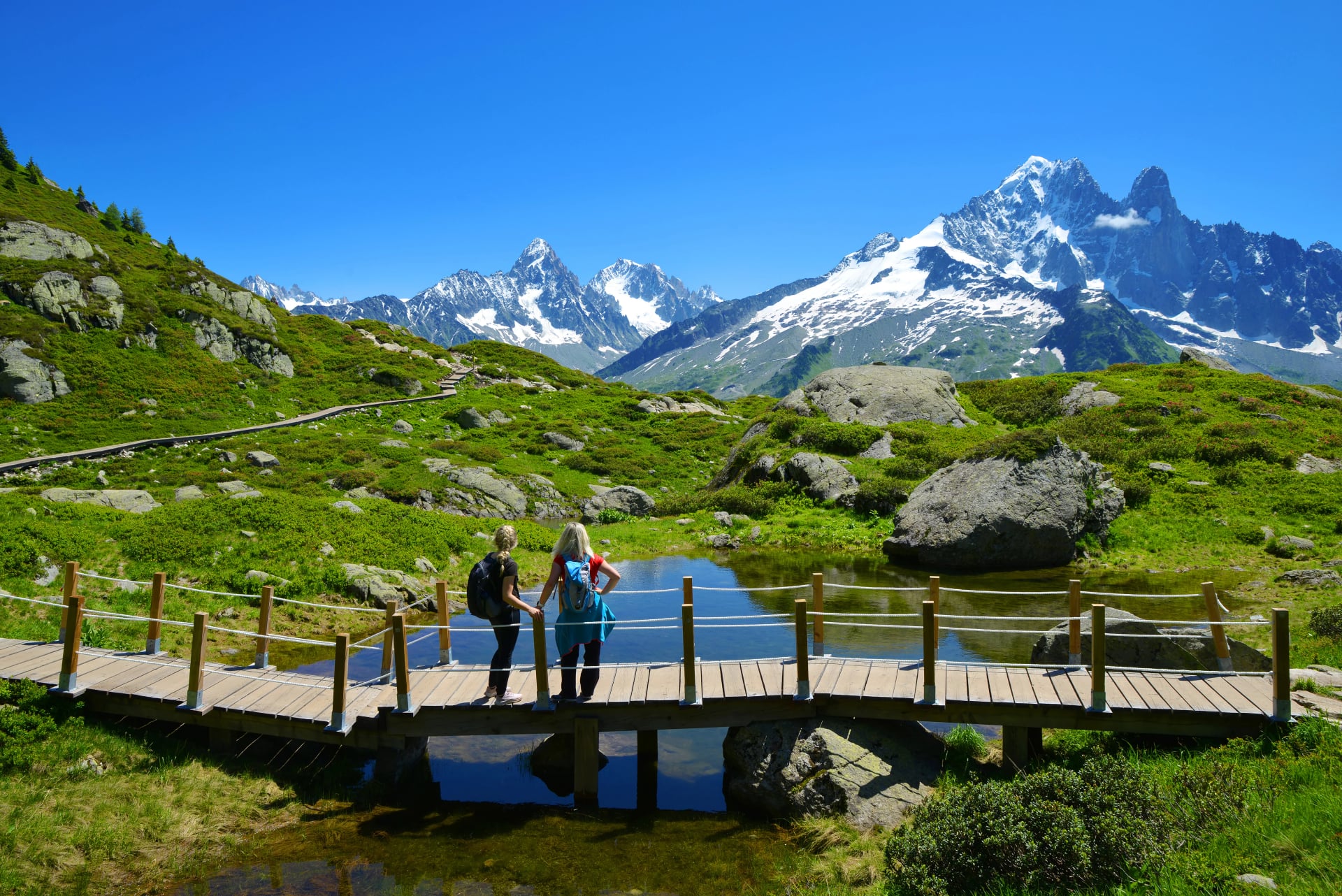 Idylliskt landskap med Mont Blancs bergskedja på en solig dag. Vandrare på resa i naturreservatet Aiguilles Rouges, franska Alperna, Frankrike, Europa.