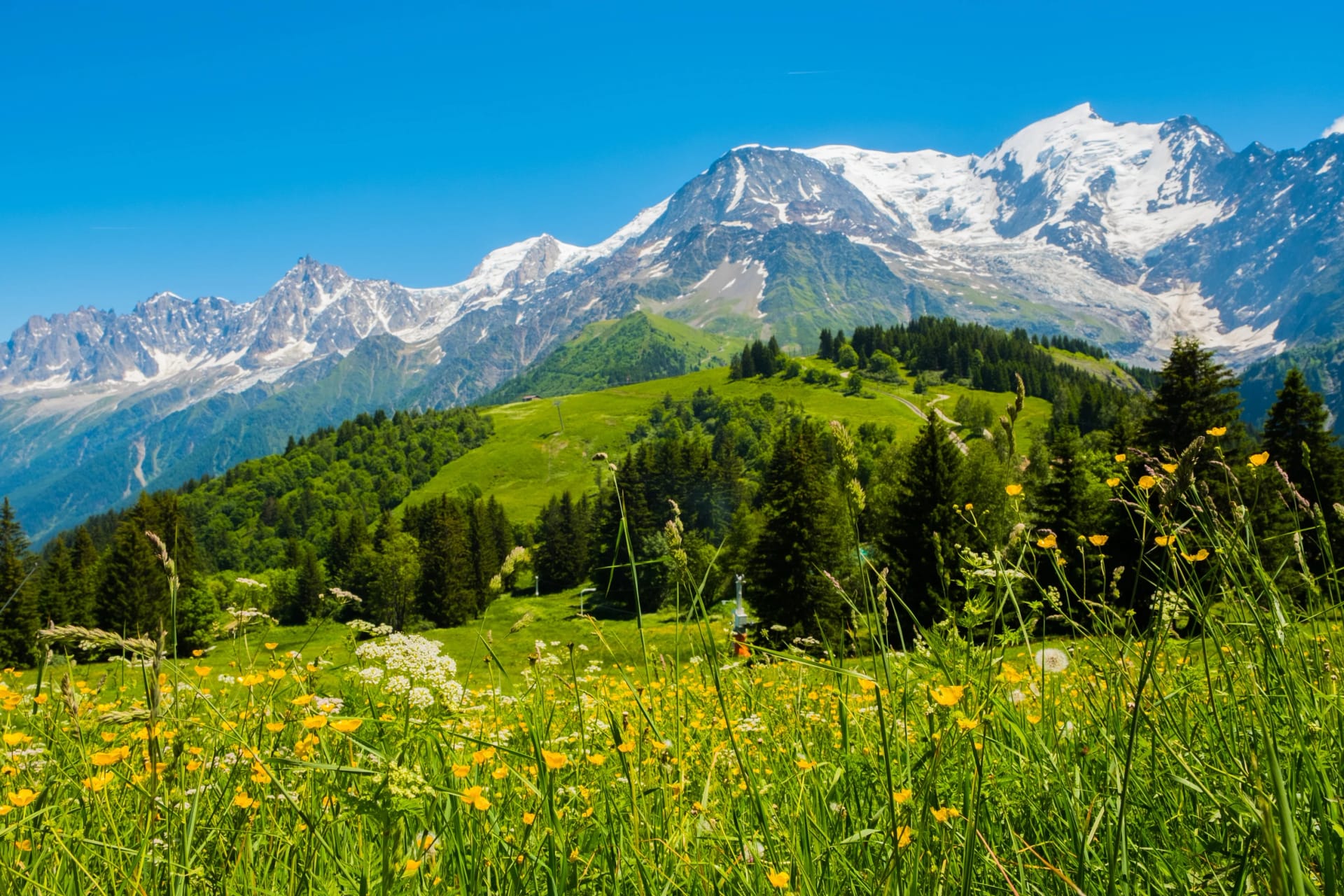Mont Blanc