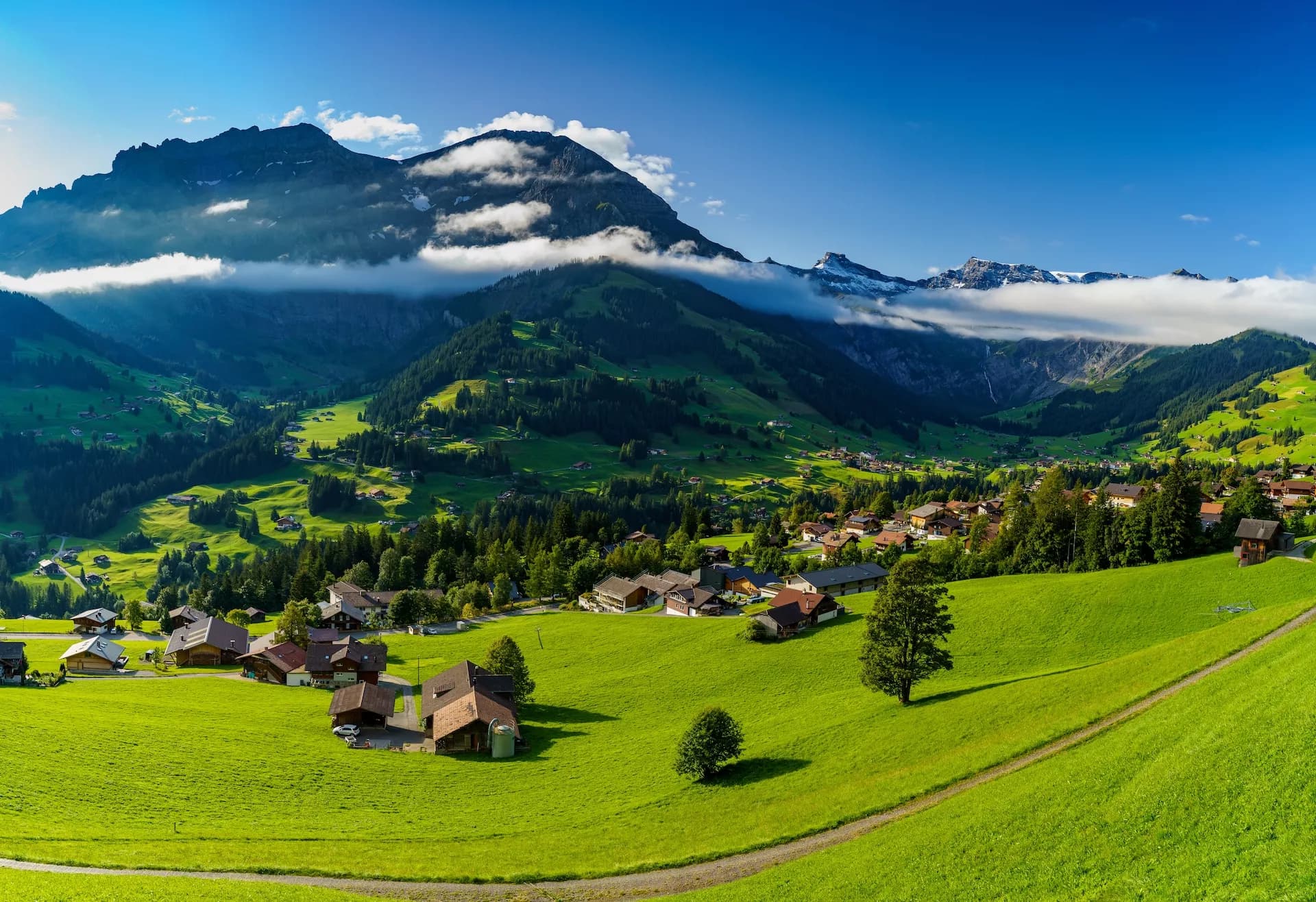 Adelboden panorama with alpine farmhouses, green meadows, forests, and snow-capped mountains.