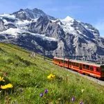 A tourist train travels on Jungfrau Railway from Jungfraujoch to Kleine Scheidegg