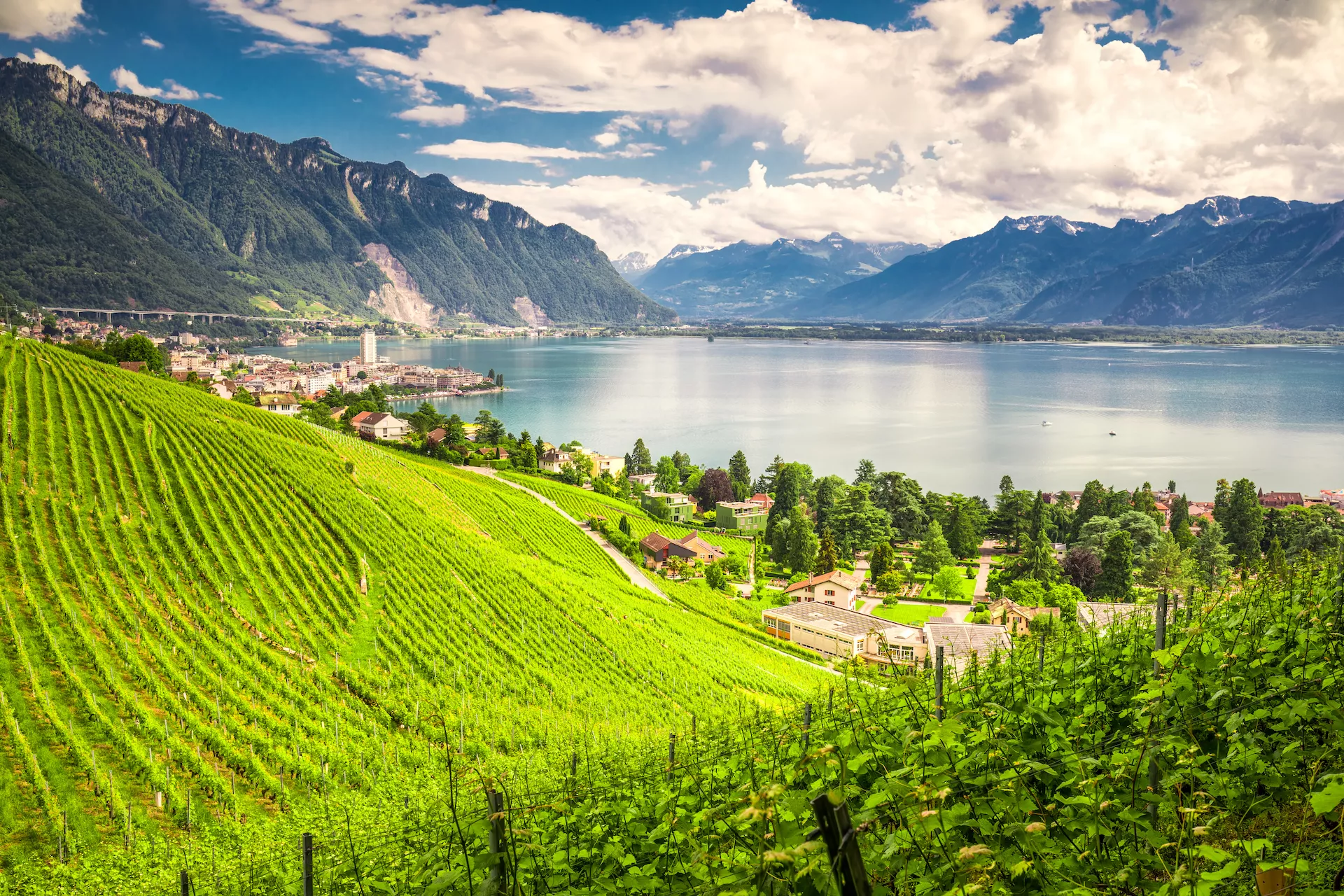 La città di Montreux con le Alpi svizzere, il lago di Ginevra e i vigneti della regione del Lavaux