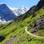 Panoramic trail from Mannlichen to Kleine Scheidegg with Mount Eiger view