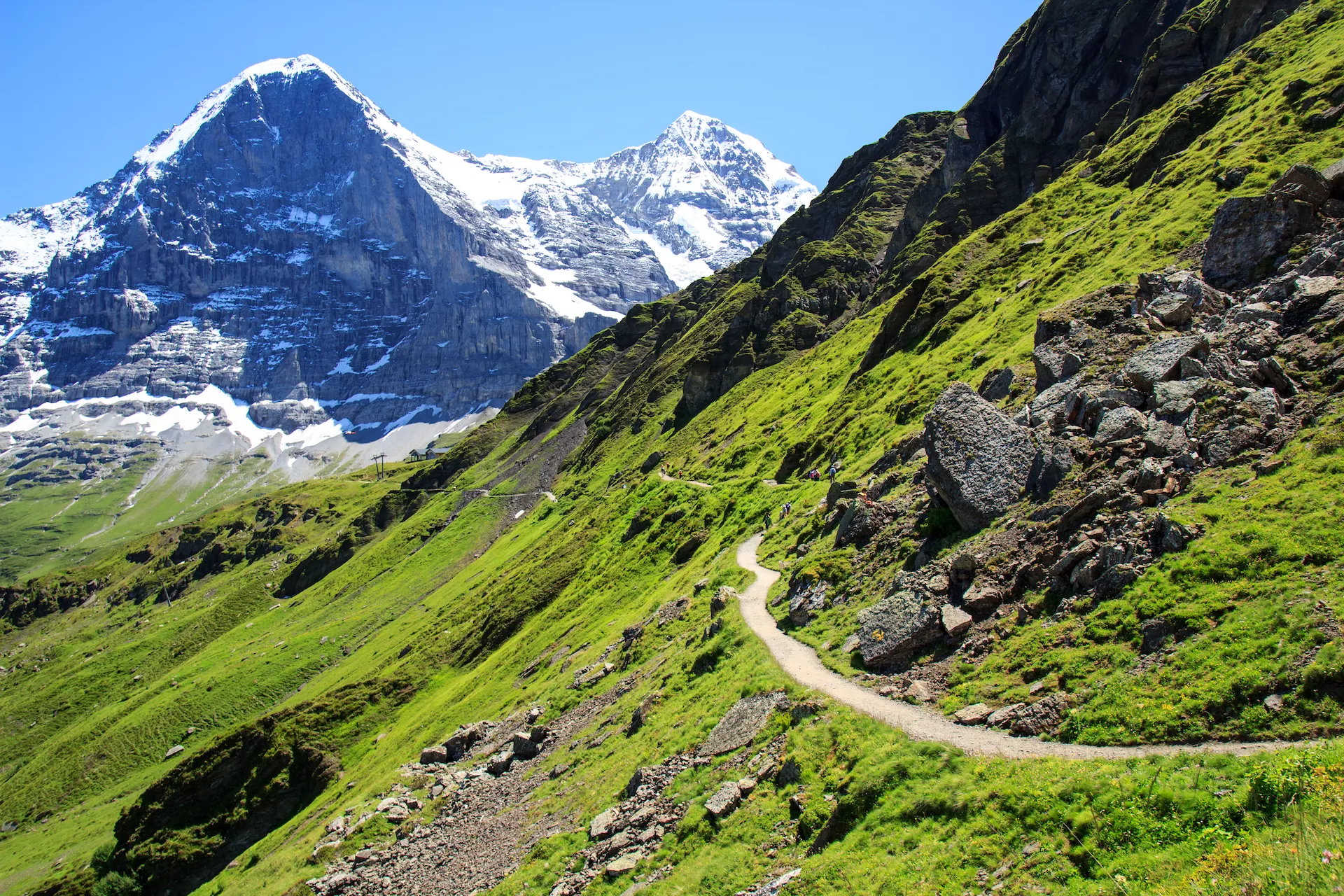 Panoramasti fra Mannlichen til Kleine Scheidegg med udsigt over Eiger-bjerget
