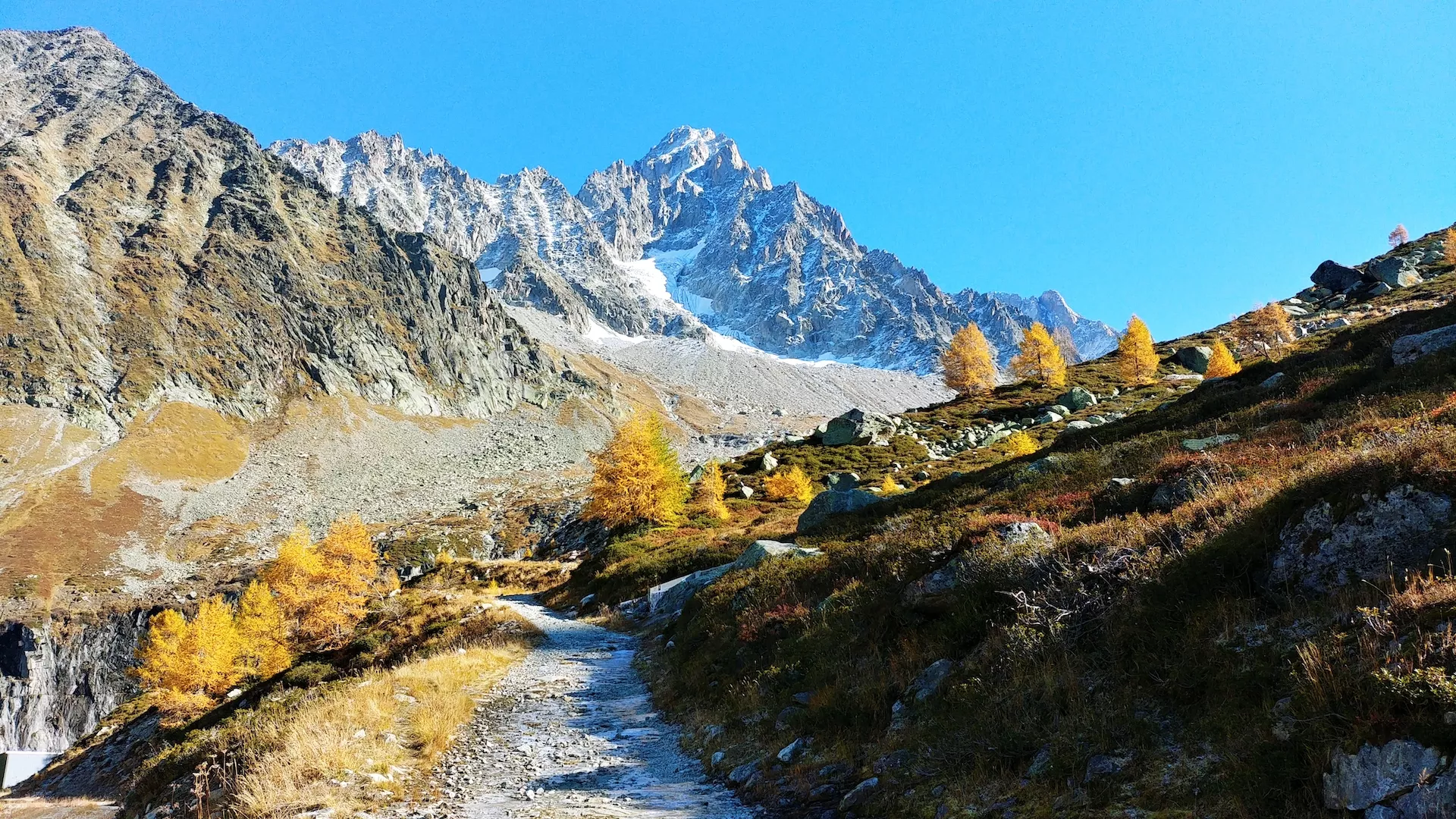 Fotos del Valle de Chamonix más cerca del pueblo de Argentiere