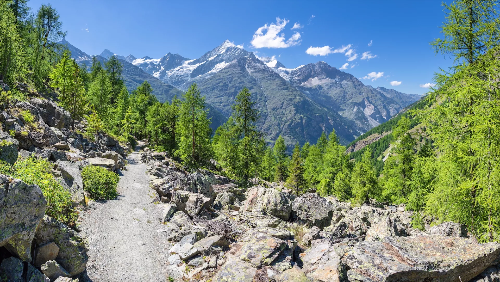 Walliserin alppien huiput Bishorn, Weisshorn, Schalihorn ja Rothorn Mattertalin laakson yllä.