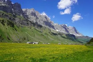 Urnerboden pastures