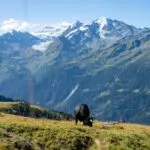 Beautiful views of the Grand Combin