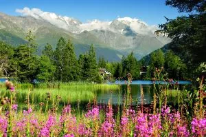 champex lac en charmig bergsby omgiven av berg