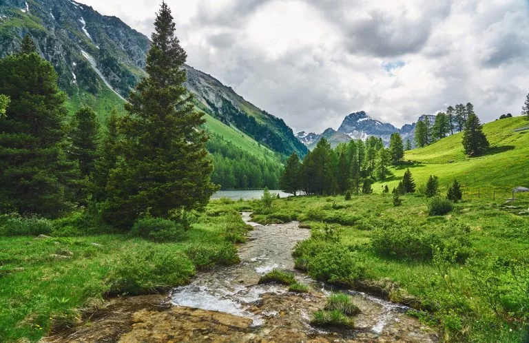 hike down lush valleys