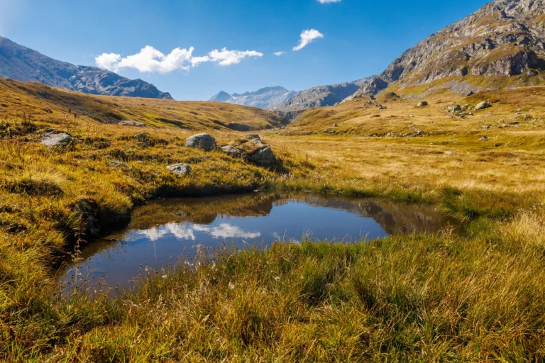 pond on alpine plateau of Greina, Surselva